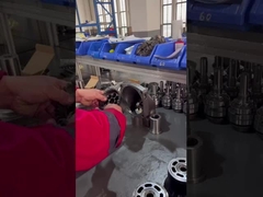 Bomba de émbolo de alta presión F12